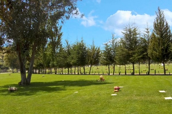 SENDERO SAN BERNARDO