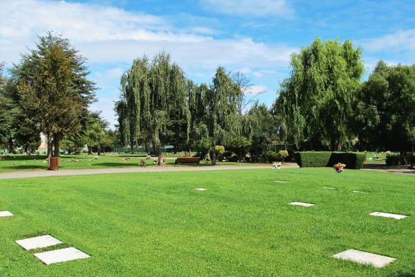 SENDERO TEMUCO