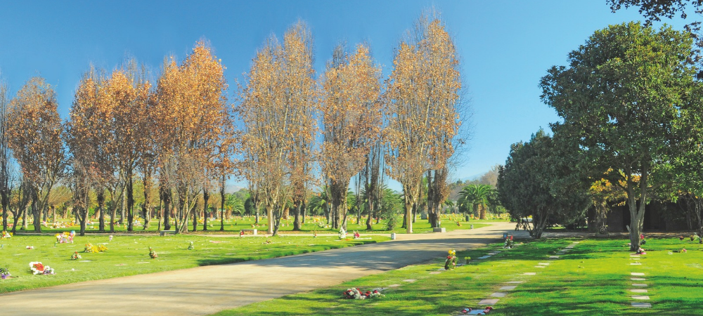 Parque Sendero Maipú con amplias áreas verdes, árboles y caminos rodeados de naturaleza.