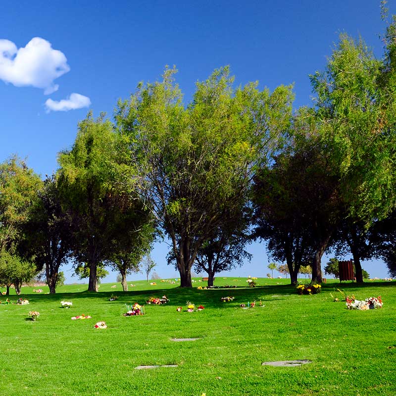 Perspectiva con arboles y pasto del cementerio parque Sendero Villa Alemana